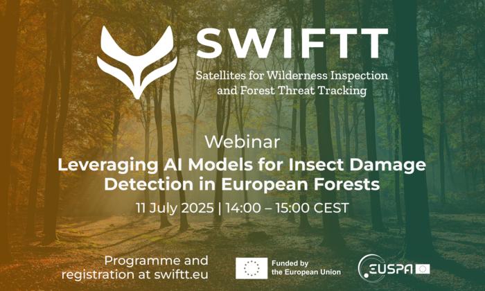Leveraging AI Models for Insect Damage Detection in European Forests